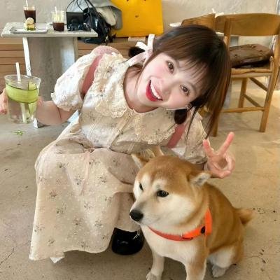 冬狮
